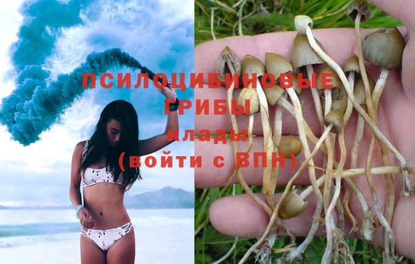 дмт Снежинск