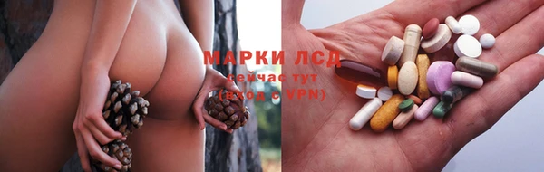 прущие крисы Арсеньев
