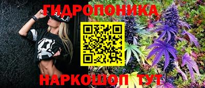бошки Кохма