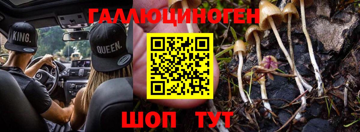 Галлюциногенные грибы MAGIC MUSHROOMS Лобня
